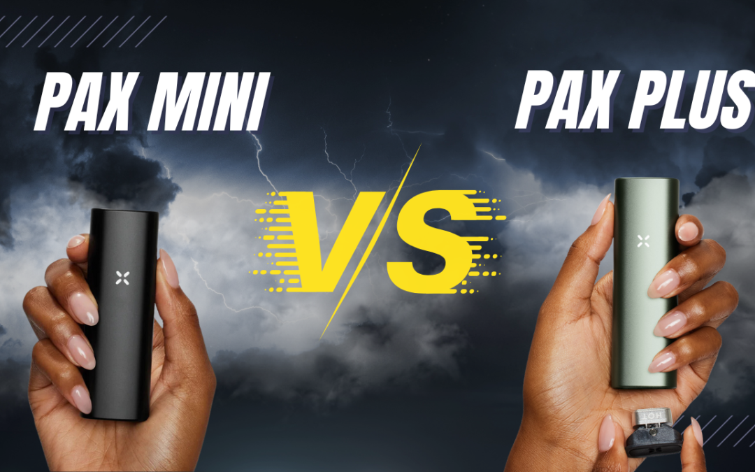 Pax Mini กับ Pax Plus ต่างกันยังไง ?