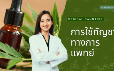 กัญชาเสรีเป็นอดีต? “กัญชาการแพทย์เท่านั้น”ผลกระทบ & ทางออกที่สายเขียวต้องรู้