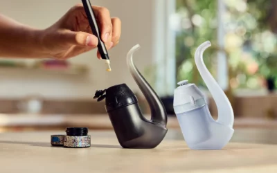 The New Puffco Proxy — การอัปเดตและความแตกต่างที่สำคัญ