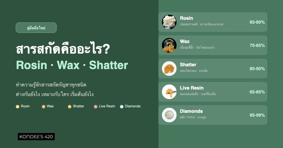 สารสกัดคืออะไร — คู่มือเริ่มต้น Rosin, Wax, Shatter สำหรับมือใหม่