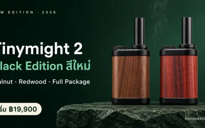 Tinymight 2 Black Edition สีใหม่ 2026 — Walnut, Redwood, Full Package ต่างจากรุ่นเดิมยังไง