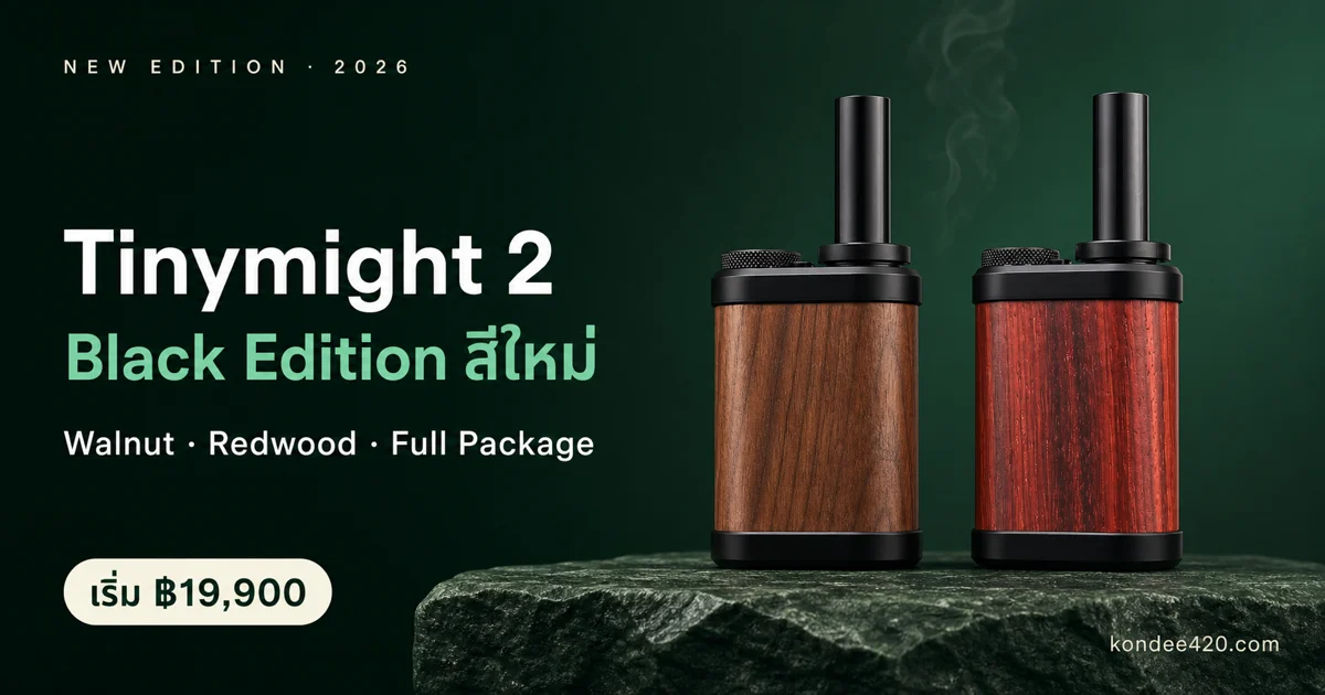 Tinymight 2 Black Edition สีใหม่ Walnut Redwood