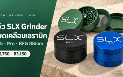 รีวิว SLX Grinder ที่บดเคลือบเซรามิกกันติด — ดียังไง ทำจากอะไร มีรุ่นไหนบ้าง (฿1,750–฿3,150)